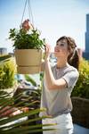 greenville hanging basket 24cm golden sand